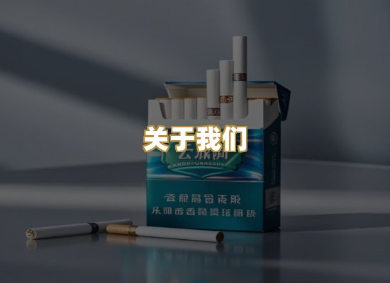 关于我们